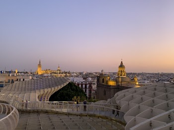 Brown Concrete Buildings