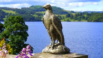 Brown Concrete Eagle Figurine Near Body of Water
