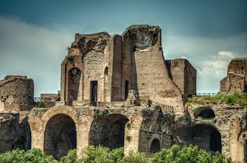 Brown Concrete Ruins With Bushes Under Blue Sky