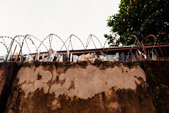 Brown Concrete Wall With Barbwires