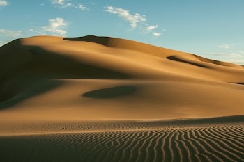 Brown Desert