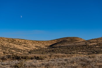 Brown Desert