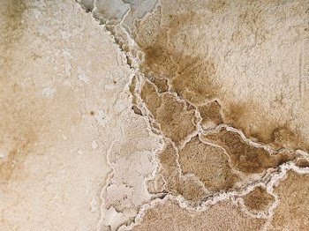Brown Desert Ground