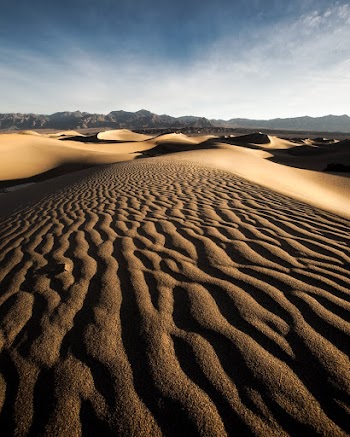 Brown Dessert