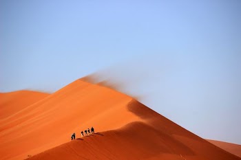 brown dessert