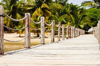 brown dock photography during daytime
