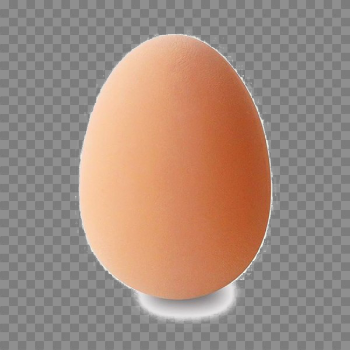 Brown Egg PNG Background Image