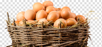 Brown Egg PNG Free Download