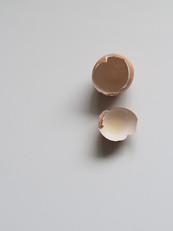 Brown Egg Shell on White Surface