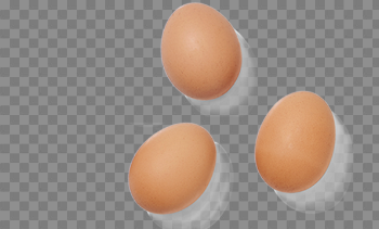 Brown Egg Transparent Background PNG