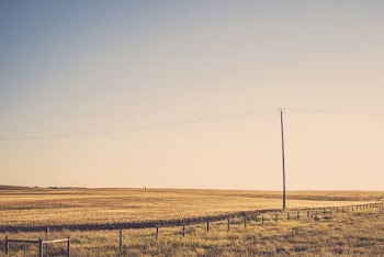 brown electric tower near brown grass field
