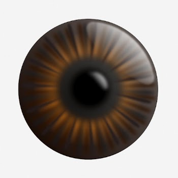 Brown eye clipart illustration. Free | Free Photo - rawpixel