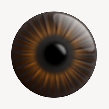 Brown eye clipart, illustration vector. | Free Vector - rawpixel