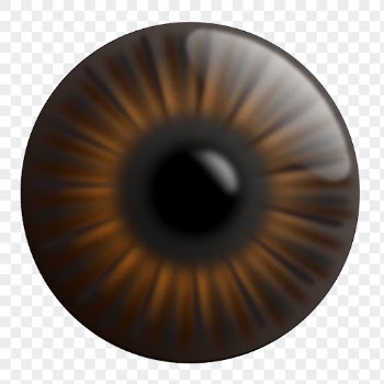 Brown eye png sticker illustration, | Free PNG - rawpixel