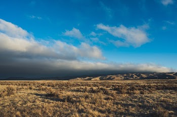 Brown Field Under Blue and White Skies