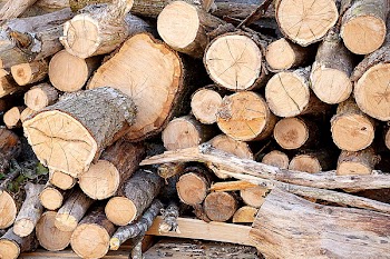 Brown Fire Wood