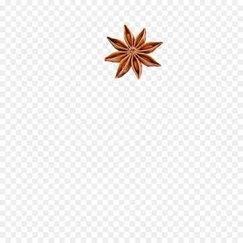 Brown Flower - aniseed 