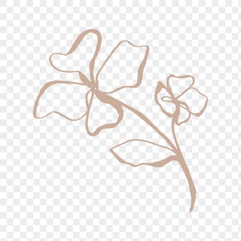 Brown flower png sticker, botanical | Free PNG - rawpixel