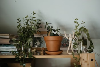 Brown Flower Pot
