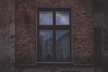 brown framed glass windowpane
