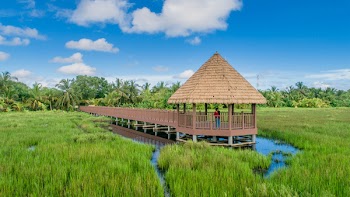 Brown Gazebo Near Green Leafed Plant