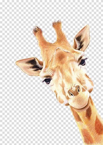 Brown giraffe illustration, Paper Colored pencil Giraffe Painting Deer, Deer transparent background PNG clipart