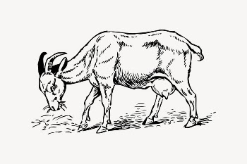 Brown goat clipart, drawing illustration | Free Vector Illustration - rawpixel