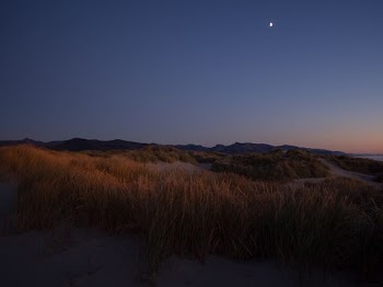 brown grass covered surface under blue sky at night time