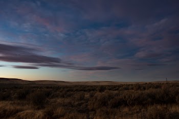 Brown Grass Field