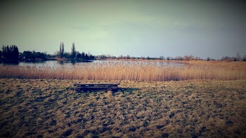 Brown Grass Field By The Lake