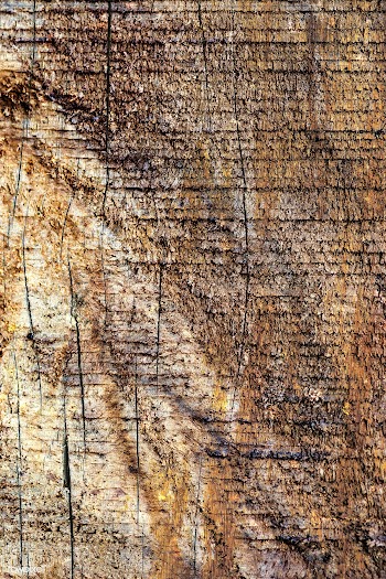 Brown grunge wood texture | Free  illustration - 2252717