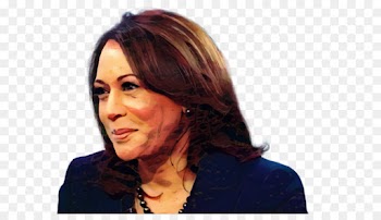 Brown Hair, Hair, Hair Coloring, Face PNG