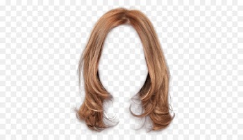 Brown hair Long hair Hairstyle - Brown hair clips to pull Free 