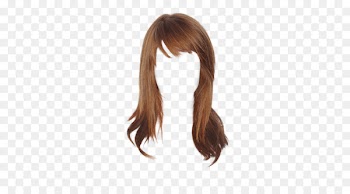 Brown hair Wig Hairstyle Hair coloring - hair 