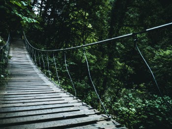 Brown Hanging Bridge