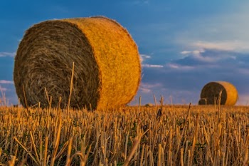Brown Hay Stack