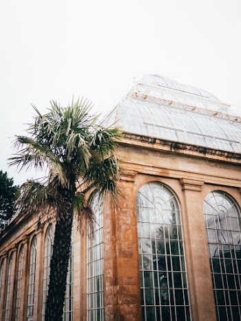 Brown Historic Building Near Green Palm Tree