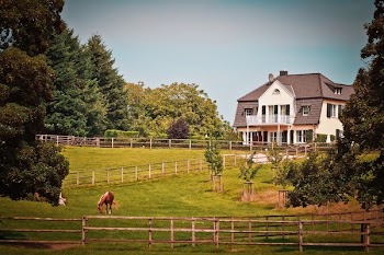 Brown Horse at Grass Field in Front of White House