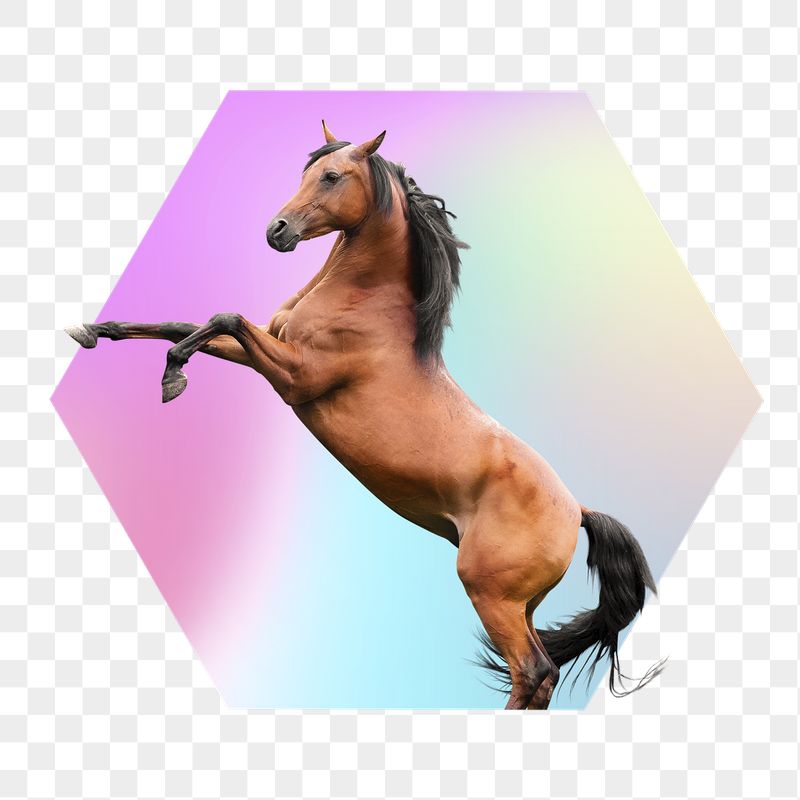 Brown horse png, hexagon badge | Free PNG - rawpixel
