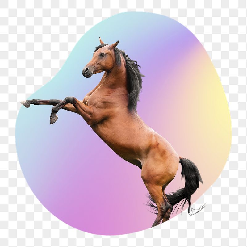 Brown horse png, transparent background | Free PNG - rawpixel