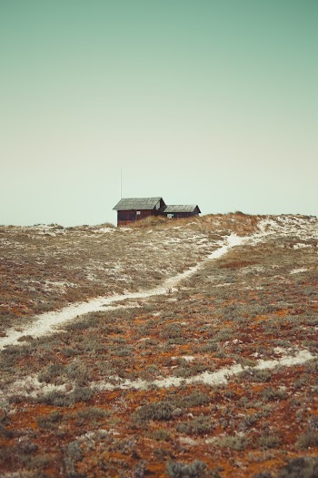 Brown House