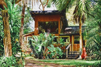 brown house near green trees