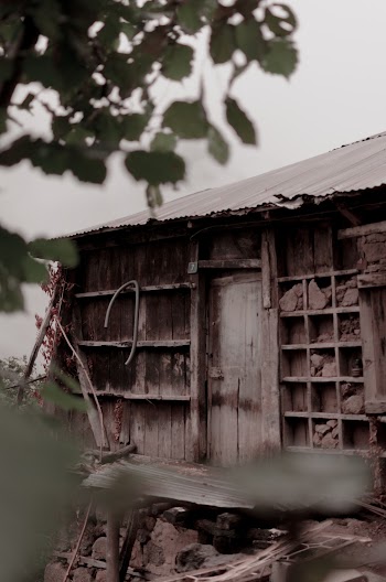 Brown House Near Plant