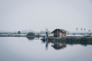 brown house near the lake