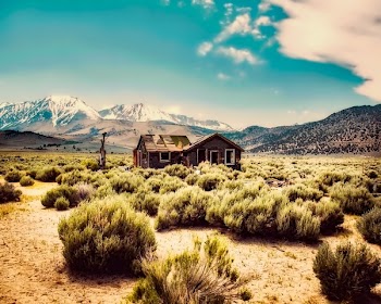 Brown House Situated in the Middle of Grassy Place
