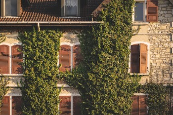Brown House With Green Plants