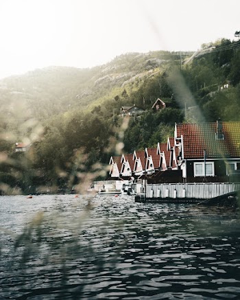 Brown Houses Near Body of Water