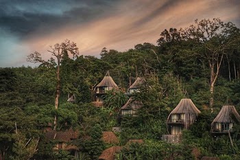 brown houses surrounded by trees