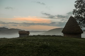 Brown Hut Near Tree on Grass Field