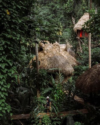 brown hut surrounded with trees during daytime